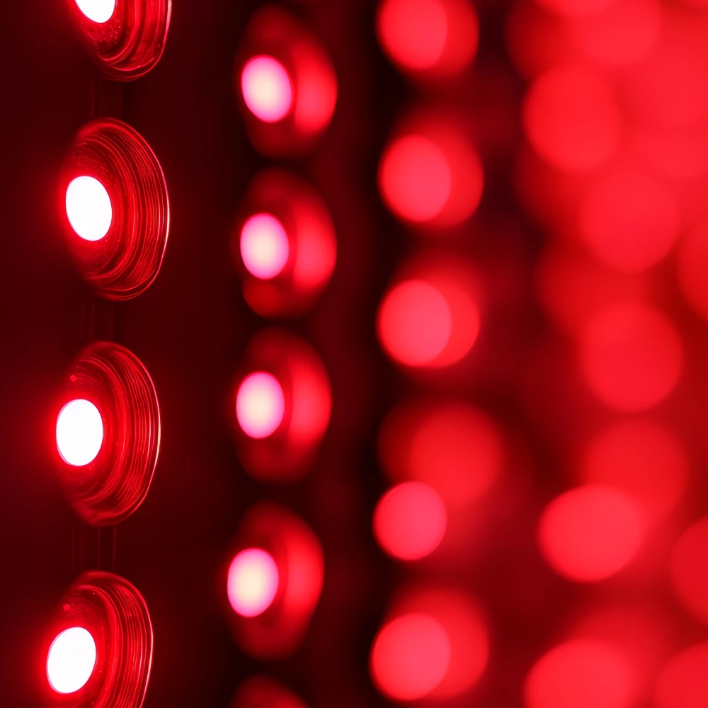 Glowing rows of red light therapy LEDs in close-up detail on professional wellness treatment panel at ReNuYou studio